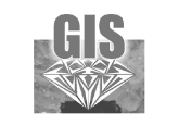 logo-gis