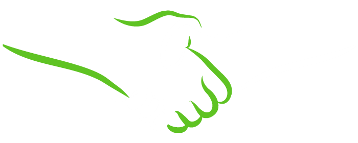 ta-nym-handshake